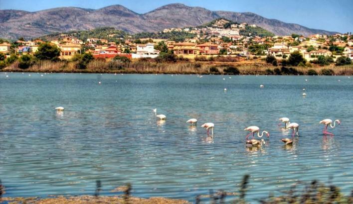 Ferienwohnung Apartamento Moderno Muy Centrico Y Cerca De La Playa Calp Exterior foto